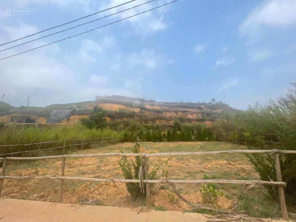 Chính chủ bán 3 lô đất đẹp tại Xuân Thọ, Đà Lạt view cao, khí hậu trong lành2466230