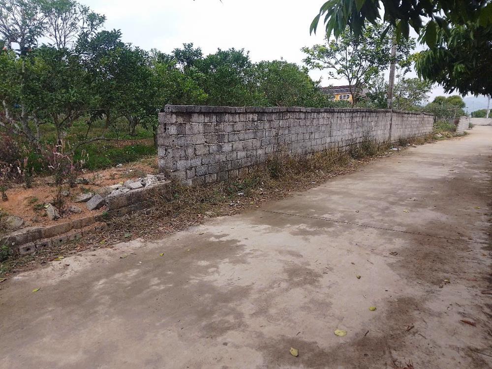 CẦN BÁN GẤP KHU ĐẤT ĐẸP PHƯỜNG THANH HẢI_THỊ XÃ CHŨ_BẮC GIANG2588955