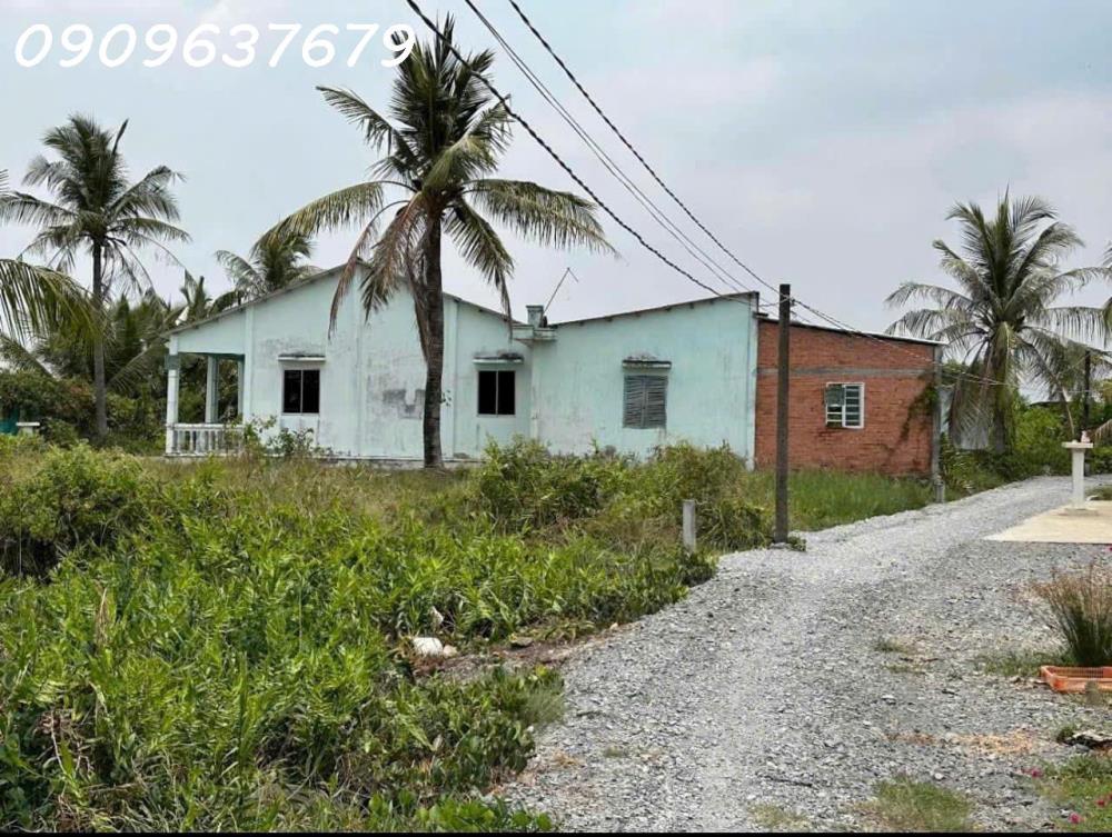 Gấp gấp Bán Nhà vườn có diện tích vuông vức (300m2 Thổ + 1004m2 vườn) Xã Tân Chánh H cần Đước Long an2616526