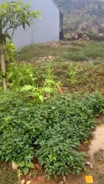 BÁN LÔ ĐẤT ĐẸP GIÁ TỐT SỐ 21-LK09, ĐƯỜNG BM11, P. XUÂN TĂNG, LÀO CAI2618922