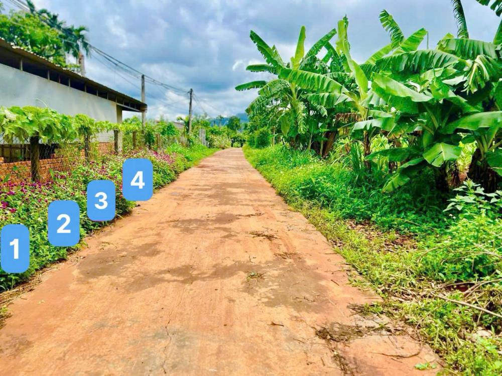 Ea Ning-Cư Kuin-Đắk Lắk đất mặt tiền đường bê tông view hồ 56 mát mẻ kdc đông ssawxn thổ cư chỉ nhỉnh hơn 100tr2585649