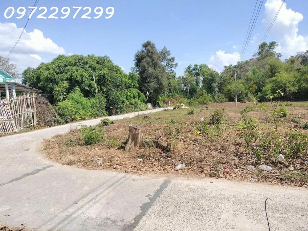 Bán đất đẹp xuất sắc 125m2, 339 triệu tại Đường Dal, Trì Phong,Châu Thành, Trà Vinh2350591