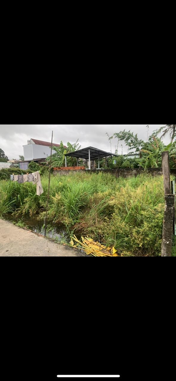 Chính Chủ Cần Bán Gấp Đất Tại Hẻm 89 Nguyễn Thông, P. An Thới, Ninh Kiều, Cần Thơ2575001