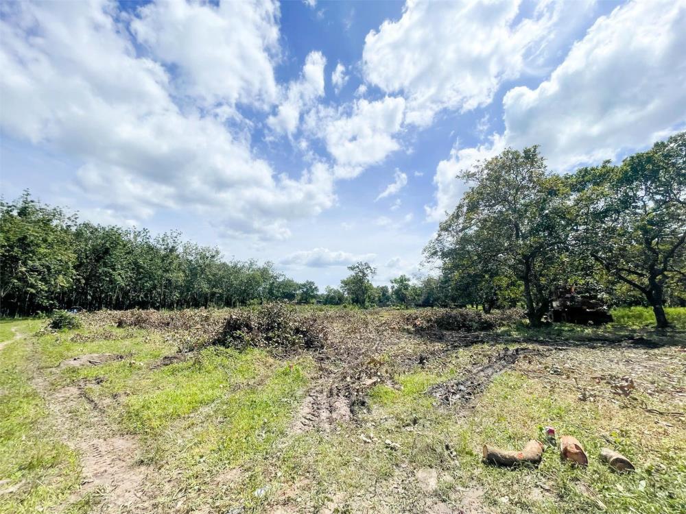 BÁN VƯỜN ĐIỀU 2,7 SÀO (2730M2) VIEW SÔNG DÂN THƯA, 200M RA NHỰA, CÔNG NGHIỆP GIÁ 190TR/S.2325874