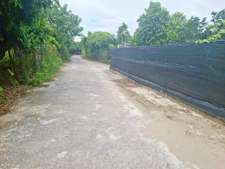 Bán đất khai hoang làm khu nghỉ dưỡng bãi sông hồng hoặc cho thuê đất để kinh doanh2383877