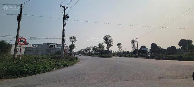 Bán đất đã có sổ đỏ đầy tiềm năng cho nhà đầu tư ngay phố đi bộ Quảng trường biển Sầm Sơn2614735
