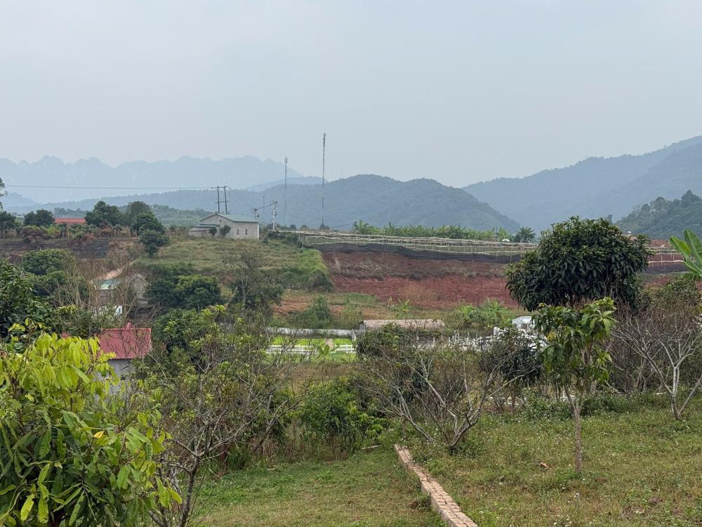 Cơ hội sở hữu 1000m2 đất nền thổ cư tại Mộc Châu chỉ với mức giá chưa đến 1 tỷ. Chủ cần bán gấp nên giá tốt.2529956