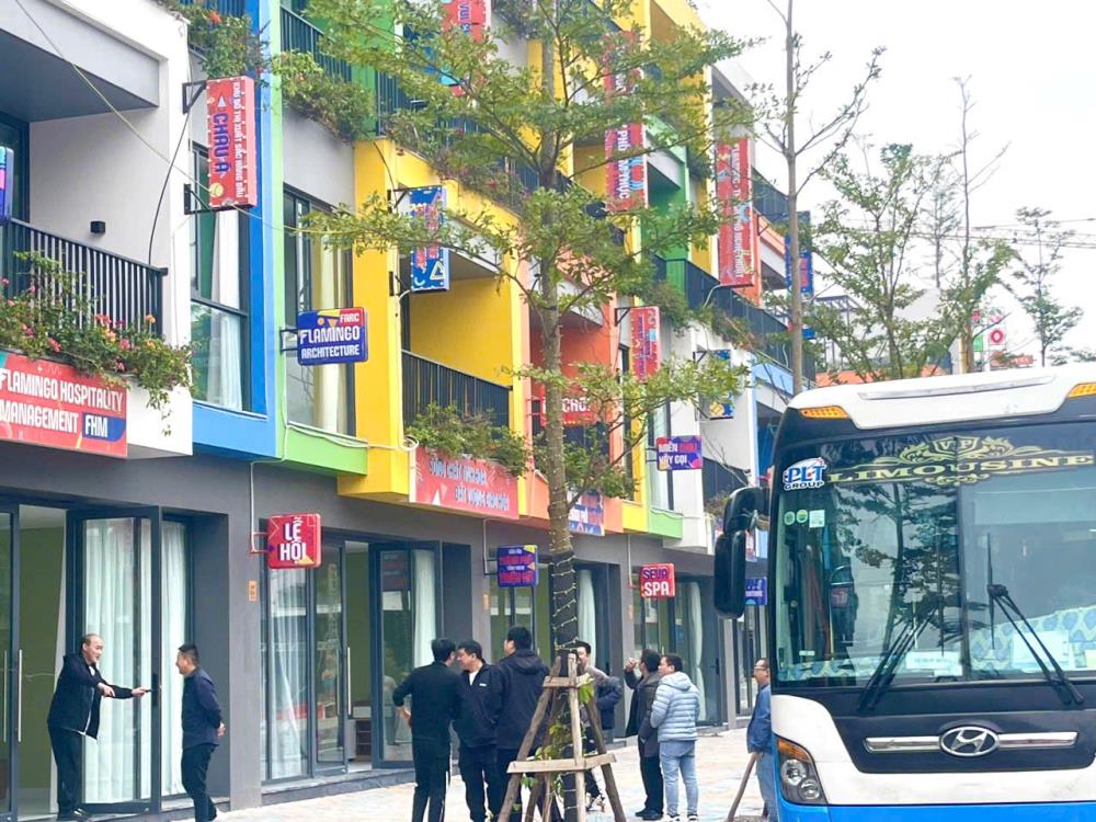 Mở bán Shophouse, Villa Flamingo Golden Hill view hồ Tam Chúc vị trí đắc địa2498419