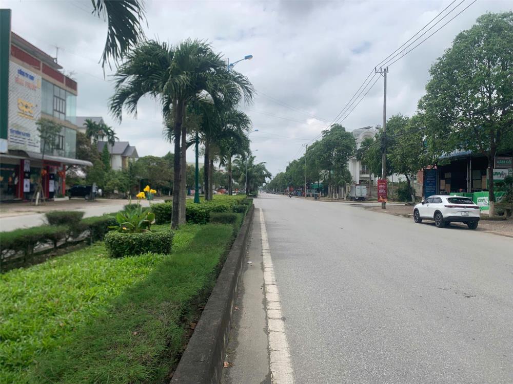 CHO THUÊ ĐẤT 14M NGANG MẶT TIỀN TRƯỜNG CHINH HƯỚNG NAM, giá 100 triệu/năm2506161