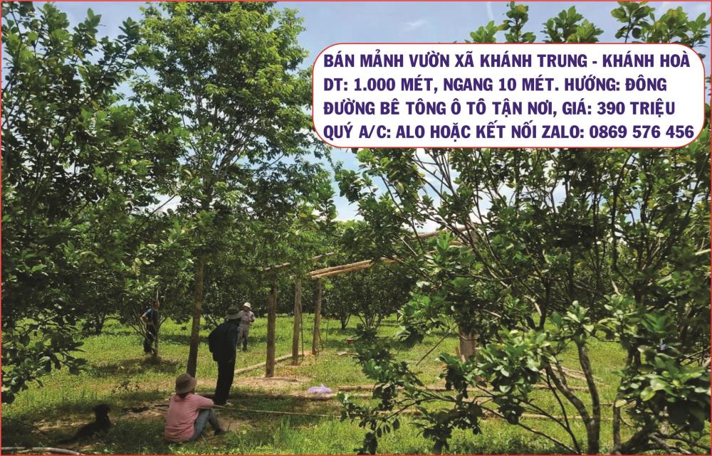 BÁN ĐẤT VƯỜN GIÁ SIÊU RẺ TẠI KHÁNH TRUNG, KHÁNH VĨNH, KHÁNH HOÀ2427326