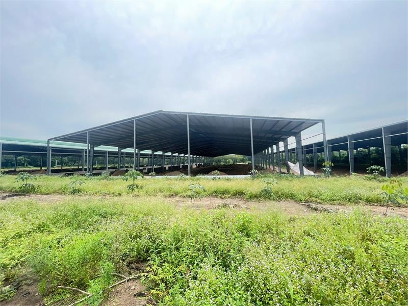 chuyển nhượng nhà xưởng đang hoàn thiện, hạ tầng khung thép kiên cố, đơn giá hợp lý2602108