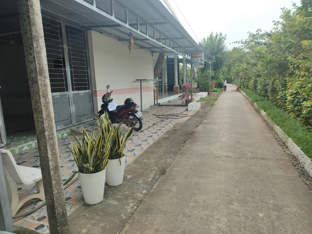 VỊ TRÍ ĐẸP - GIÁ TỐT - Chính Chủ Cần Bán Nhanh Căn Nhà Tại Xã Bình Thành, Lấp Vò, Đồng Tháp2367121