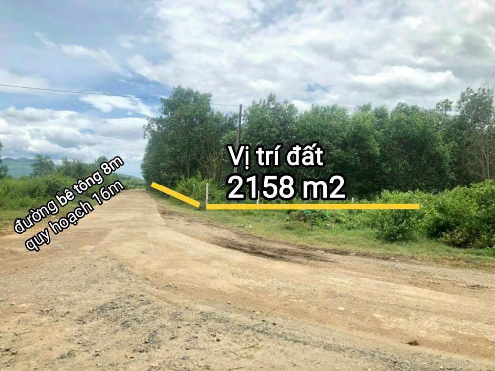 Bán đất Thôn 5, Xã Diên Đồng, Huyện Diên Khánh , Tỉnh Khánh Hòa2638319
