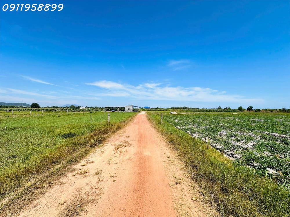 Bán 1 sào đất Tân Bình, thị xã LaGi giá ngộp chỉ 900 triệu sổ riêng gần biển2490631