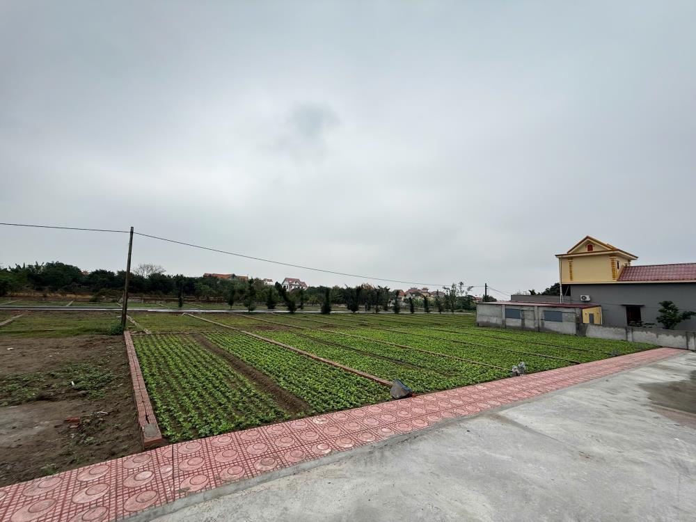 Bán đất trung tâm thị trấn quất lâm gần bãi tắm, quảng trường từ 1 tỷ2589417