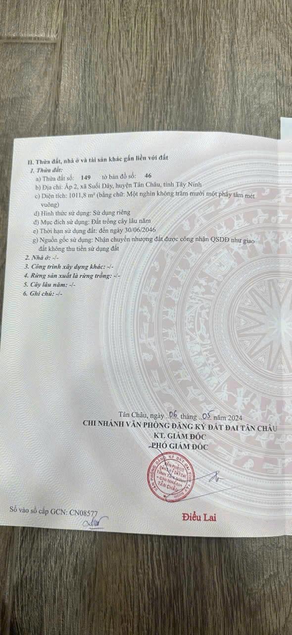 CHÍNH CHỦ CẦN BÁN ĐẤT VƯỜN Tại XÃ SUỐI DÂY - H. TÂN CHÂU - TỈNH TÂY NINH2593538