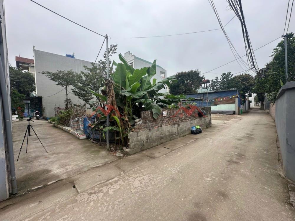 CHÍNH CHỦ BÁN LÔ ĐẤT 80M TẠI PHỤNG CHÂU-CHƯƠNG MỸ-HÀ NỘI2617402
