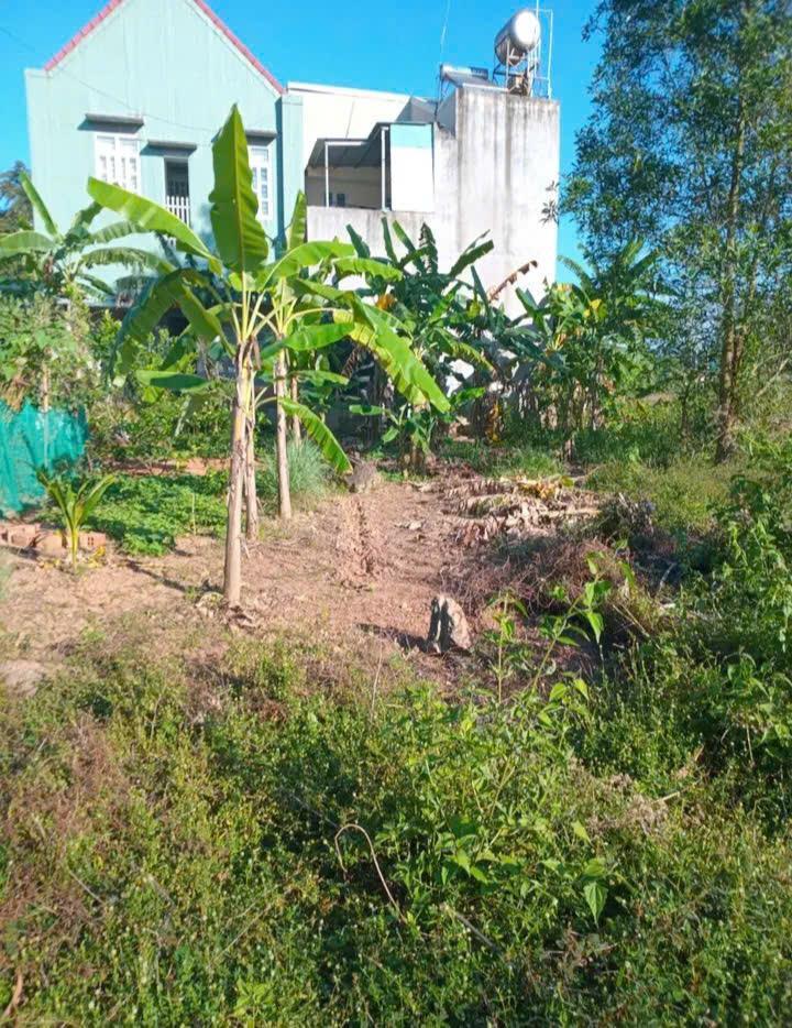 CHÍNH CHỦ CẦN BÁN Lô Đất Tại Thôn Bình Đức, Xã Cát Tân, Huyện Phù Cát, Tinh Bình Định.2520881