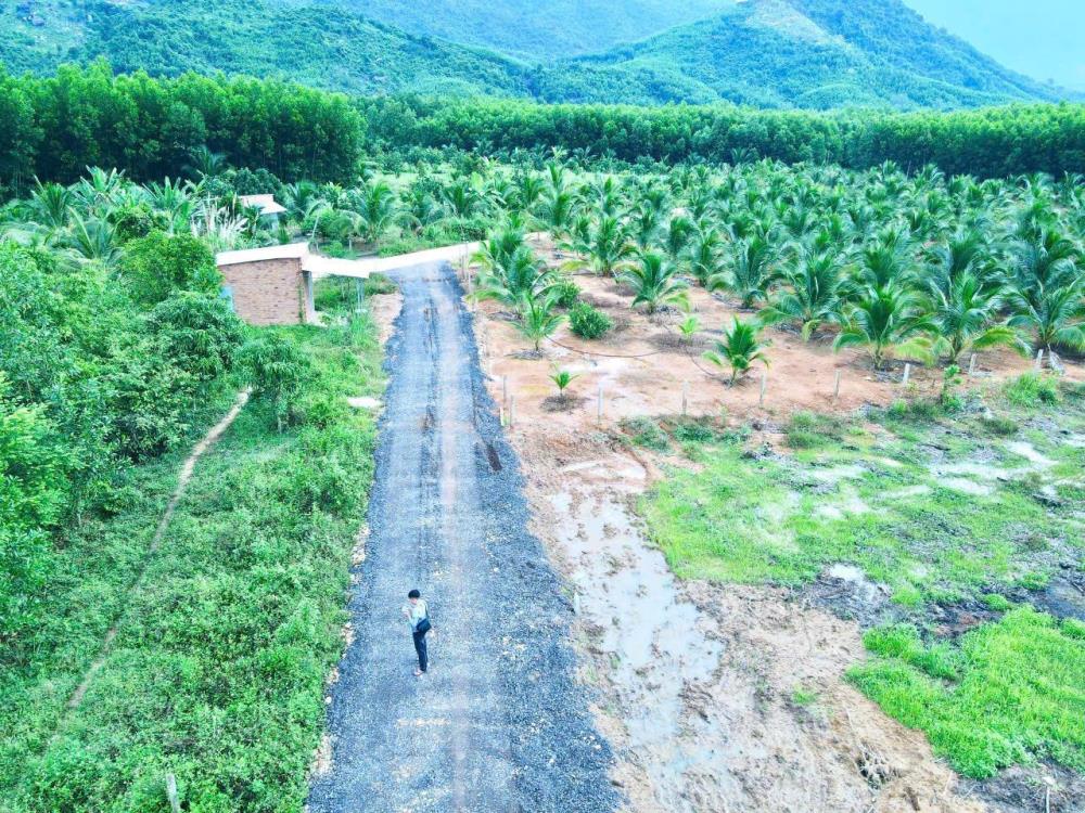 Mở Bán 4 Lô Đất Vườn DT 800 Mét, Giá 179tr Tại Khánh Hoà2326789