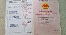 Chính Chủ Bán Lô Đất Nông Nghiệp, Sổ Hồng Đầy Đủ Tại  Sông Bình, Bắc Bình, Bình Thuận2605638