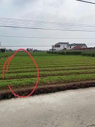CHÍNH CHỦ CẦN BÁN LÔ ĐẤT ĐẸP TẠI HUYỆN HẢI HẬU TỈNH NAM ĐỊNH2573320