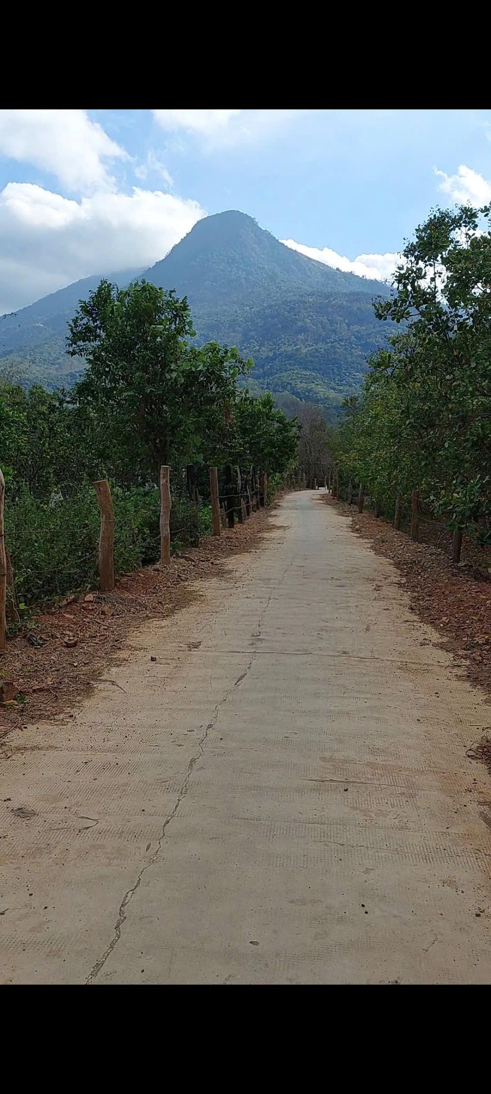 Gia đình cần bán đất vườn 12.588m2 mặt tiền đường bêtông 283m Phước Tiến, Bắc Ái Ninh Thuận. Giá 440 triệu .2459218