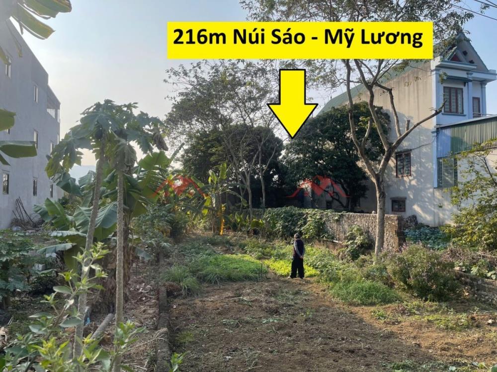 CHÍNH CHỦ BÁN LÔ ĐẤT 216M TẠI MỸ LƯƠNG-CHƯƠNG MỸ-HÀ NỘI2617054