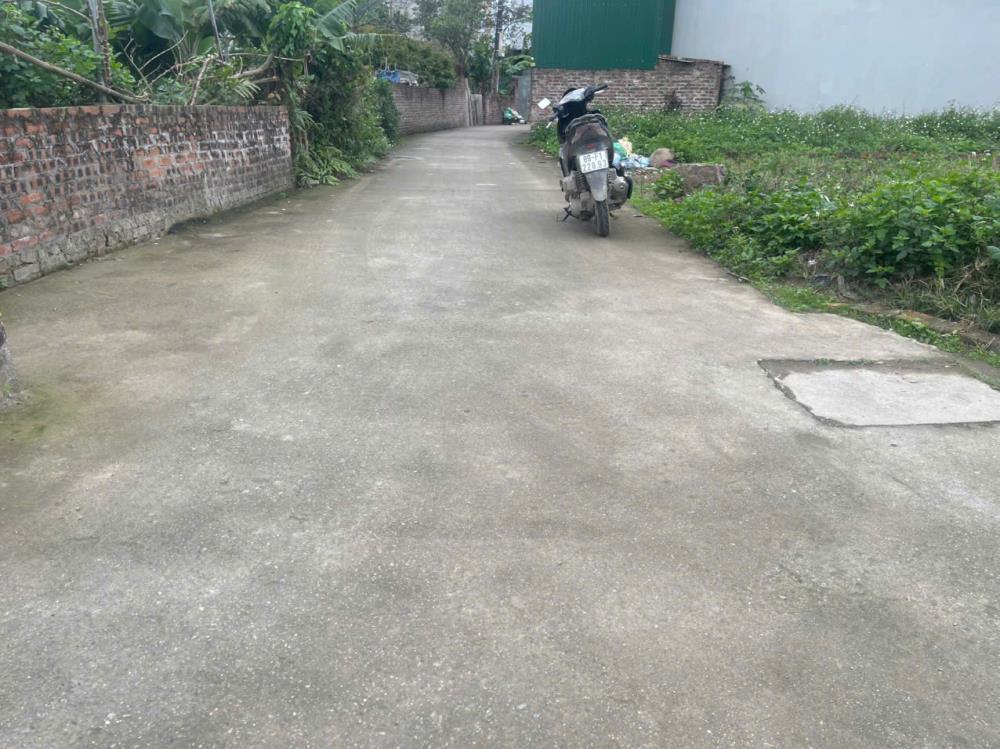 Chủ gửi lô góc hoa hậu tại thôn Cẩm Sơn xã Cẩm xá thị xã Mỹ hào2542406