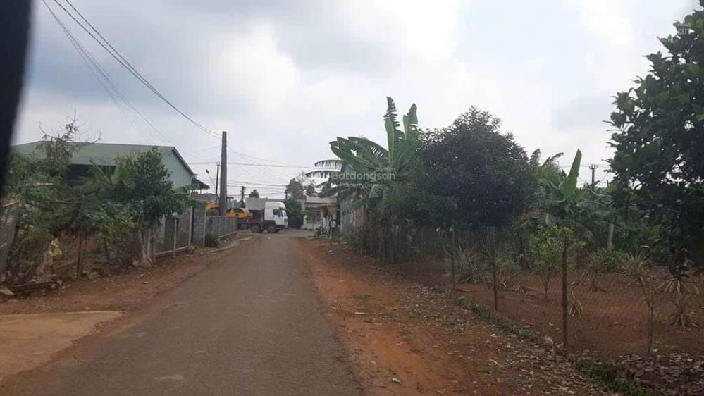 Bán đất 5540m2 tại Làng Blang2, Ia Dêr, Ia Grai, Gia Lai, 1,85 tỷ2529817