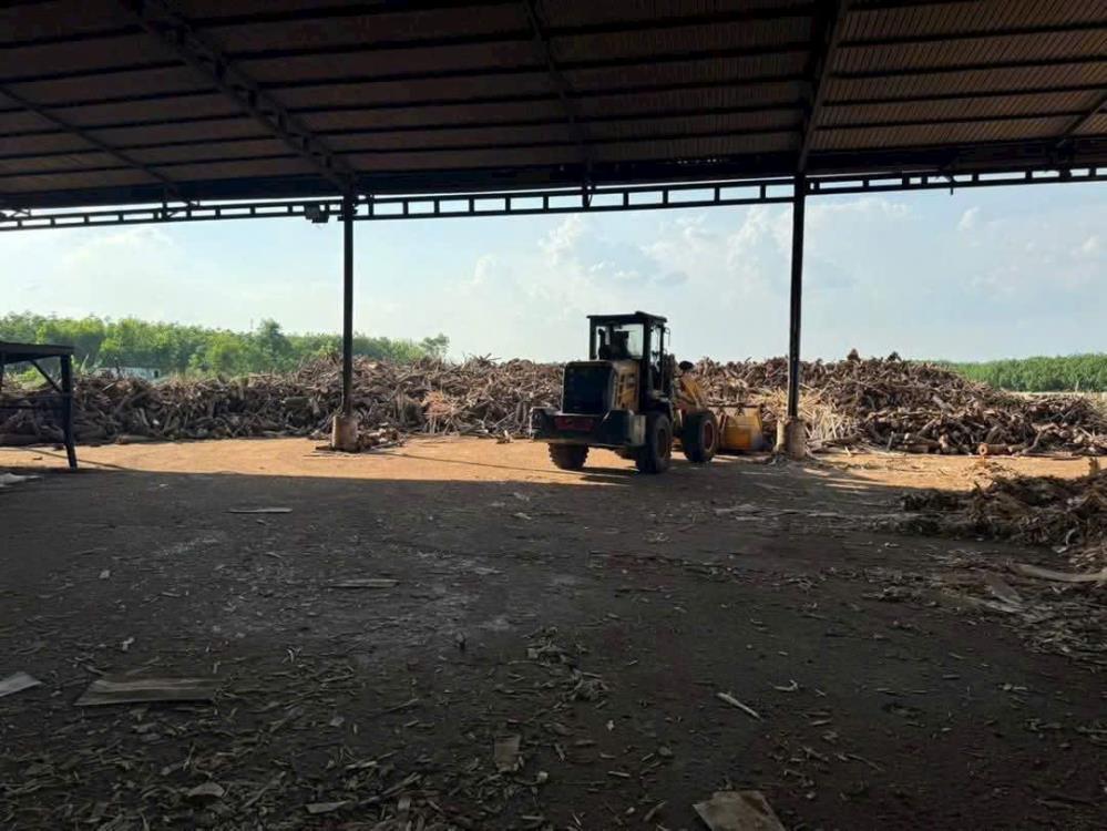CHO THUÊ XƯỞNG CƯA XẺ VÀ VIÊN NÉN GỖ TẠI CHƠN THÀNH, BÌNH PHƯỚC Giá thuê toàn bộ: 1 tỷ/tháng2582777