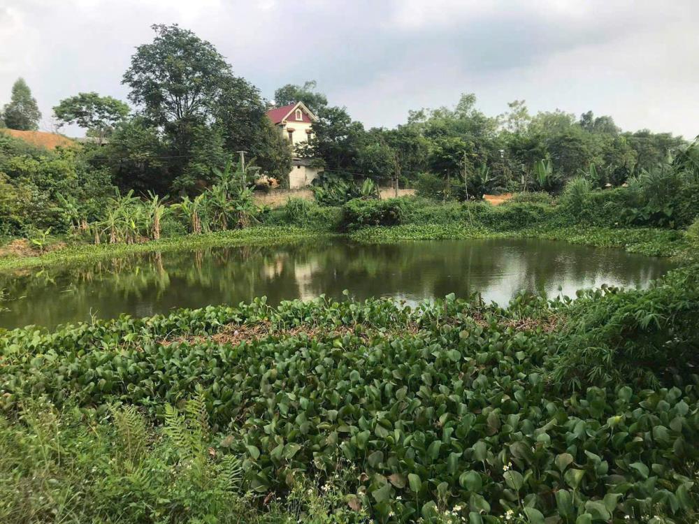 Chuyển hướng kinh doanh gia đình cần nhượng lại hơn 7000m22527844