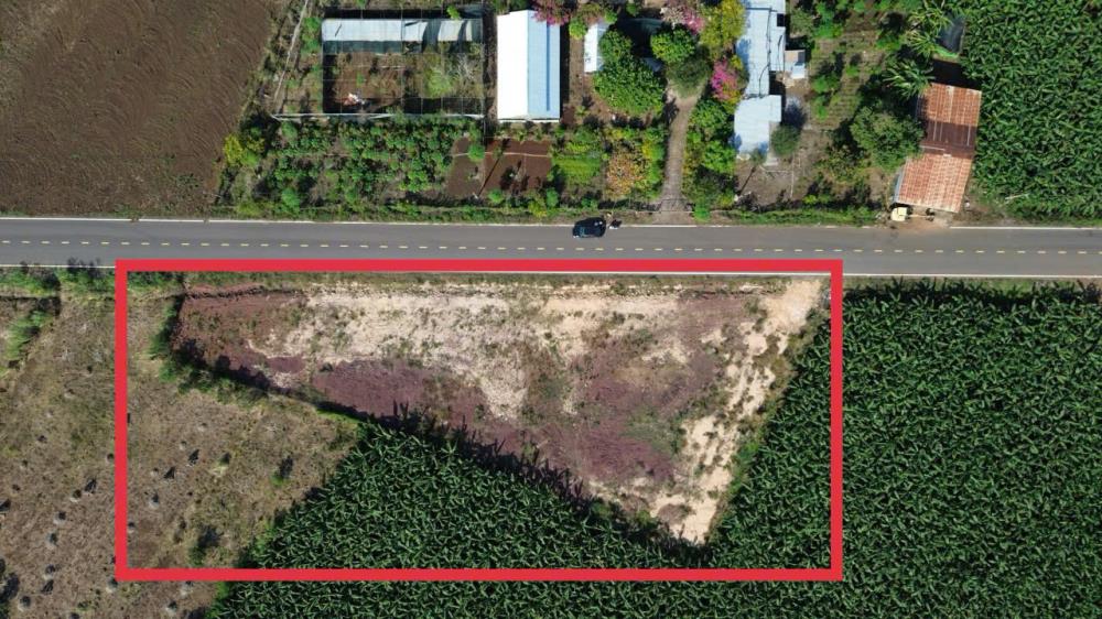 Cơ Hội Đầu Tư Đất Nền Long Tân – Giá Chỉ 7 Triệu/m², Tiềm Năng Tăng Giá Mạnh!2610476