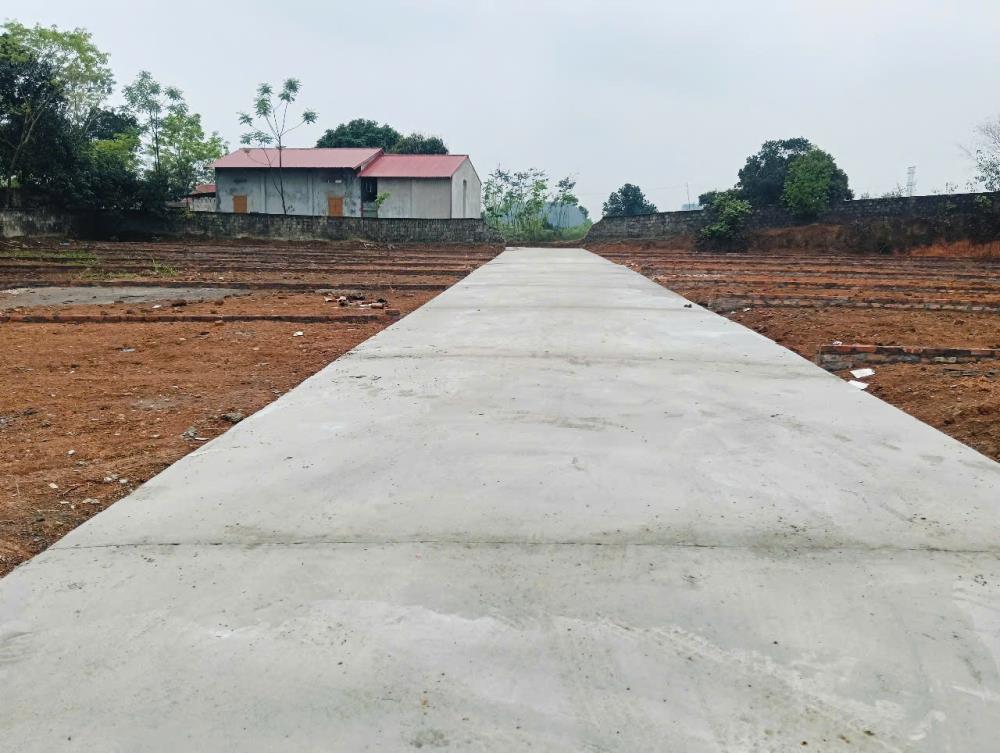 Chính Chủ Cần Bán 3 Lô Đất Mặt Tiền Vị Trí Đẹp Tại Vĩnh Phúc2600141