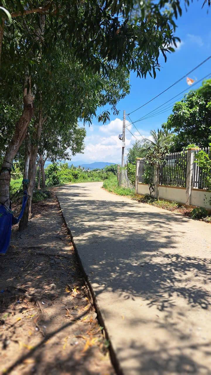 Chính chủ hạ giá cần bán lô đất đẹp ở Thôn Xuân Đông - Diên Xuân cách TL8 chỉ 500m2585690