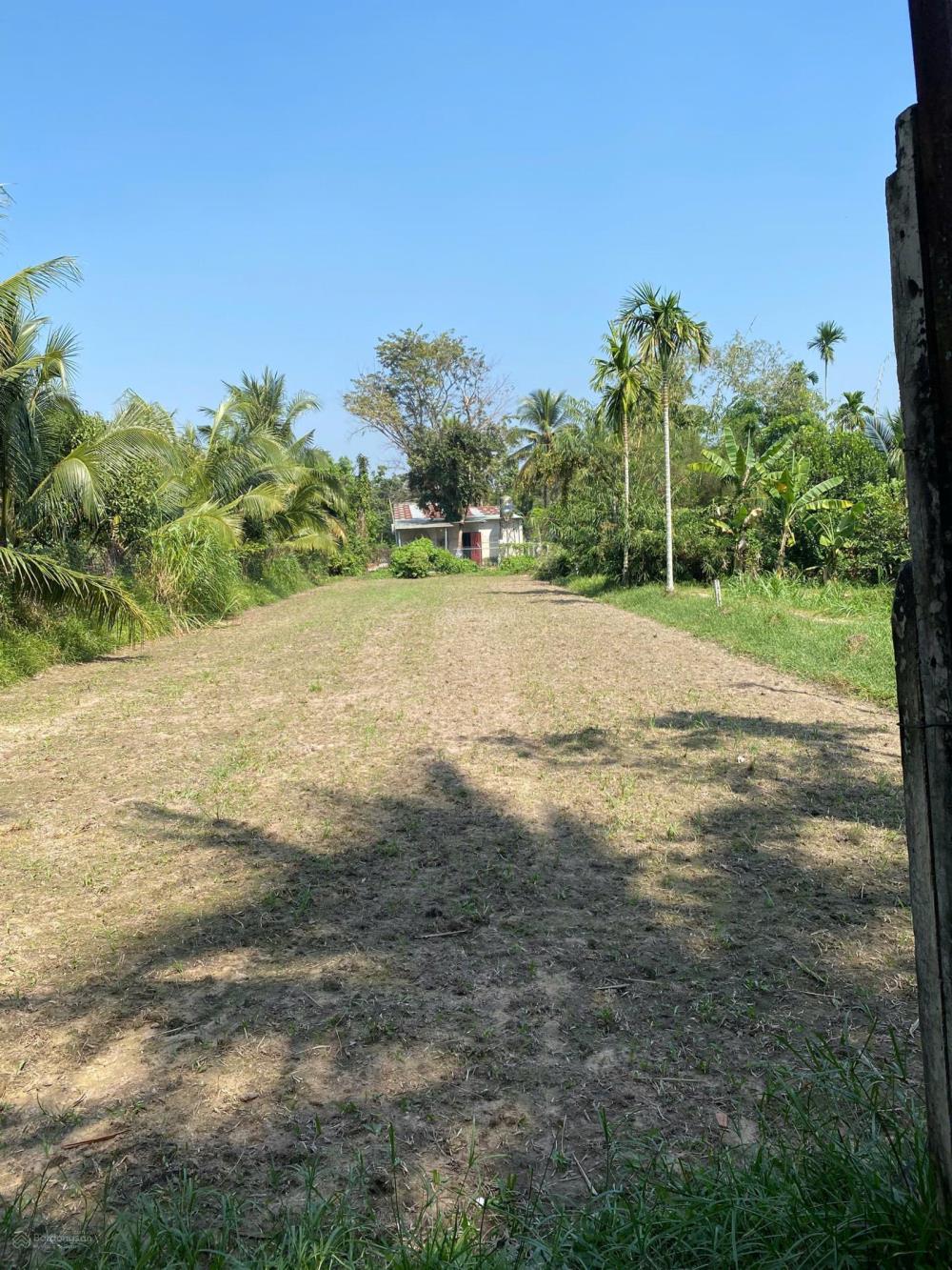 SANG 2 SỔ (16X141=2209,3M2) XÍ NGHIỆP CHỢ TRƯỜNG QUANH ĐẤT, NHÀ HIỆN HỮU Ở LIỀN 190TR2435806
