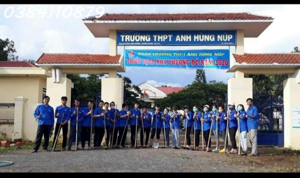 Bán 189ha trồng khép kín keo năm thứ 5 (cả đất) 30 tỷ2565070