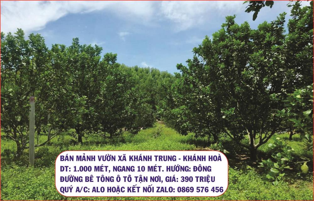 BÁN ĐẤT VƯỜN GIÁ SIÊU RẺ TẠI KHÁNH TRUNG, KHÁNH VĨNH, KHÁNH HOÀ2427287