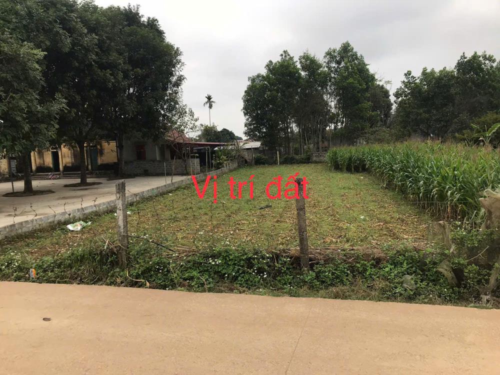 CHÍNH CHỦ BÁN ĐẤT TẠI THÔN 1, XÃ PHÚ LONG,HUYỆN NHO QUAN , TỈNH NINH BÌNH2548468