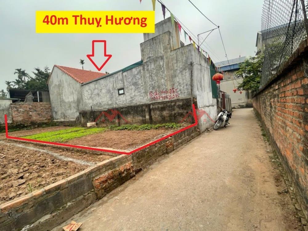 CHÍNH CHỦ BÁN LÔ ĐẤT 4OM TẠI THỤY HƯƠNG-CHƯƠNG MỸ-HÀ NỘI2620429