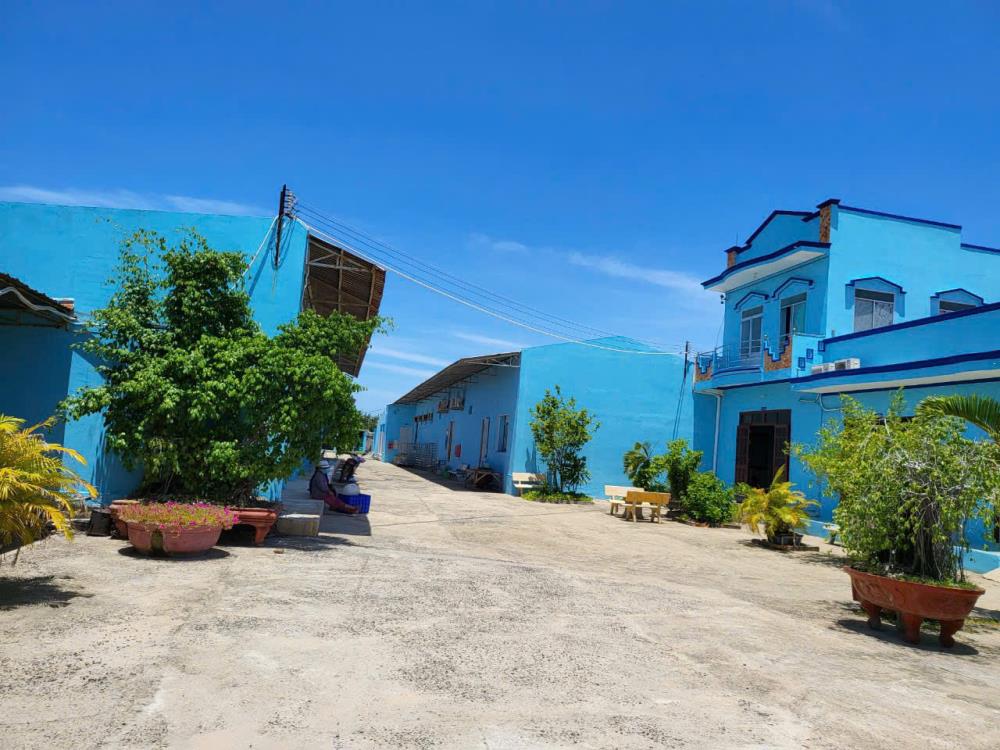 Bán Nhà máy chế biến hải sản Tuy Phong Bình Thuận
DT . 400m2/ 38 tỷ/2480934
