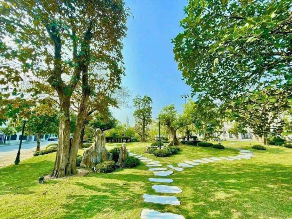 Bán Lô LK05 rẻ nhất Khu Đô Thị Tân Quang Minh, Thủy Nguyên, Hải Phòng2591365