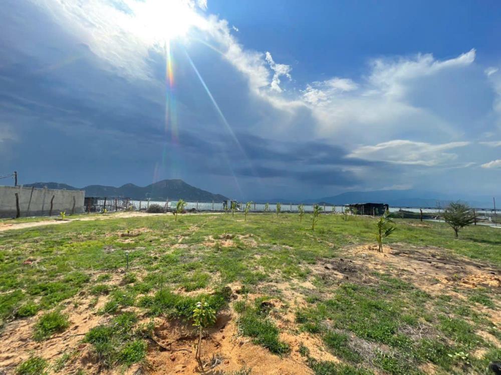 ĐẦU TƯ SINH LỜI - CHÍNH CHỦ Cần Bán Nhanh Đất VIEW ĐẦM NẠI Tại Xã Tri Hải, Ninh Hải, Ninh Thuận2454480