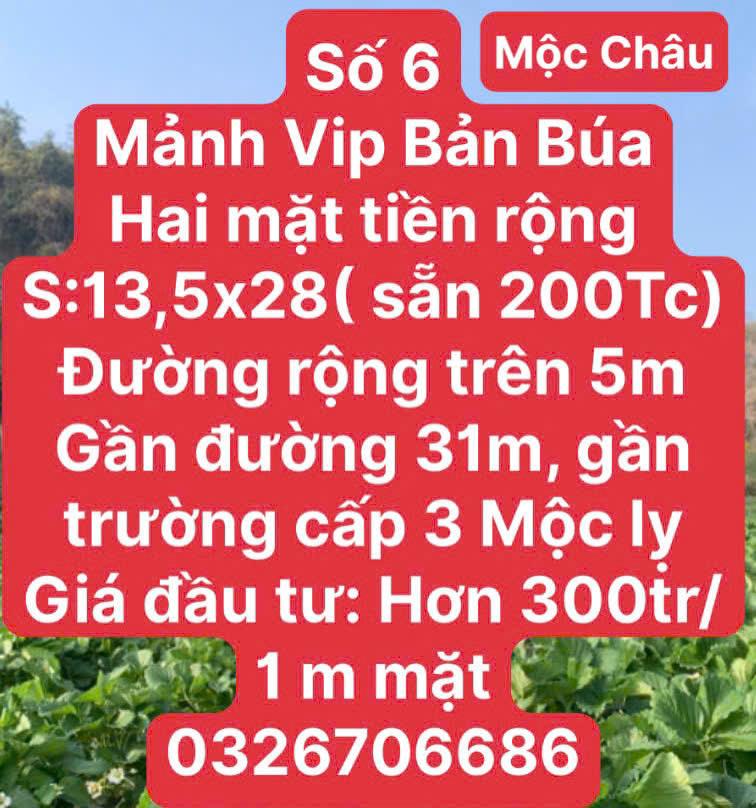 CHỜ LỒNG GẦN KHU DU LỊCH MỘC CHÂU2479205