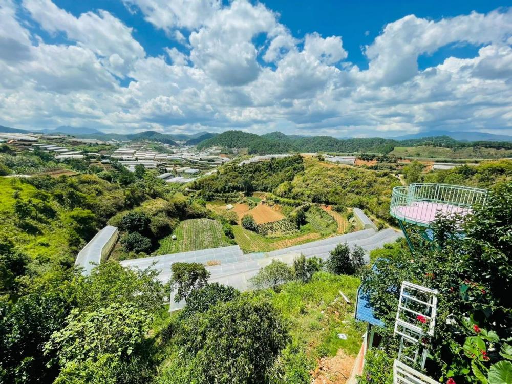 Cho thuê homestay sân vườn 1800m2 cách trung tâm Đà Lạt 9 km2485452
