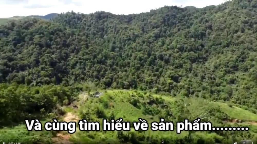 ✨PHẢI NHANH MỚI KỊP ✨ Đất lâm nghiệp làm khu sinh thái Lâm Đồng 72ha 45 tỷ có đàm phán2423556