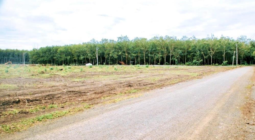 BÁN (2,2SÀO 2250M2) 2SHR LỘ NHỰA THÔNG THĂNG CỔNG (3 KCN 240N CN) SÁT TRƯỜNG CHỢ KHO XƯỞNG 1,9 TỶ2317245