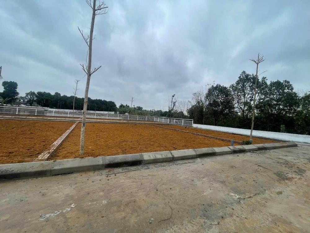 Đất giá rẻ cho gia đình trẻ Lại Thượng đường to thông 115m nhỉnh 2  tỷ2445328