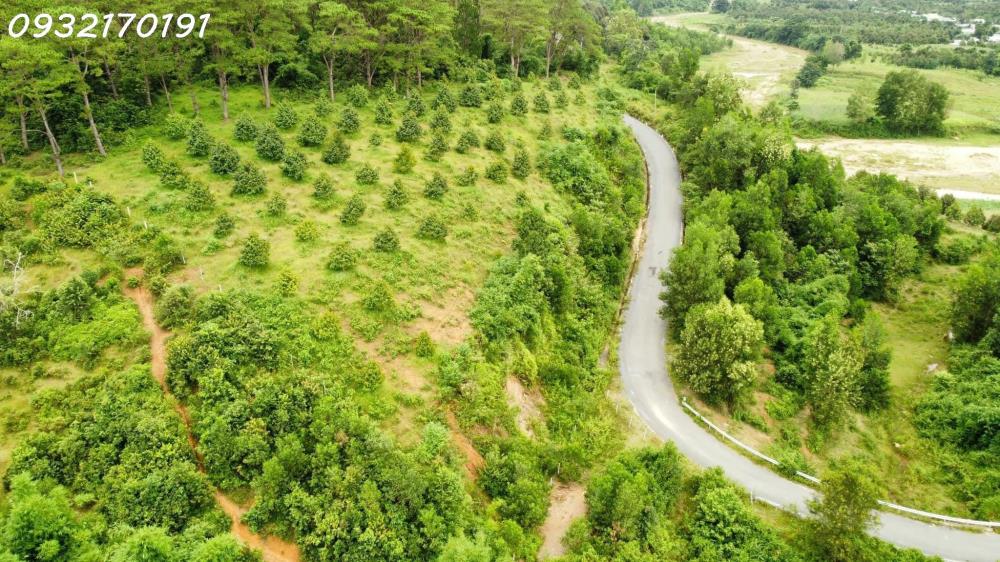 Đất có thổ - DT lớn- Tài chính ít -  CAM HIỆP BẮC, CAM LÂM,- 2 mặt tiền trước sau.2579571