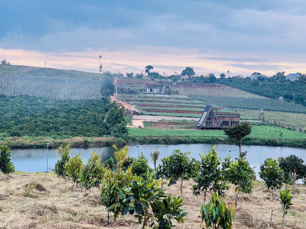 Bán lô đất 2 mặt tiền view hồ Phúc Thọ tại xã Phúc Thọ , huyện Lâm Hà , Lâm Đồng2563027