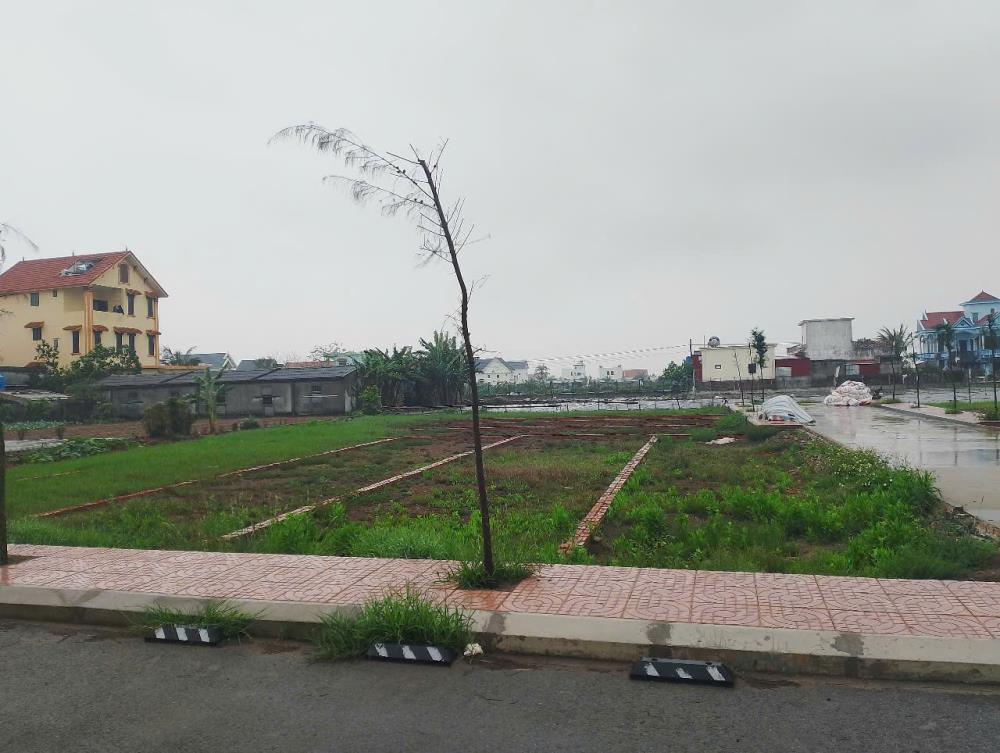 Đất nền Quất Lâm: Rẻ, Chất, Đẹp.... Cơ hội nhân đôi, nhân 3...
CÁCH BÃI TẮM CHỈ 100M – SỔ ĐỎ CHÍNH CHỦ2615499